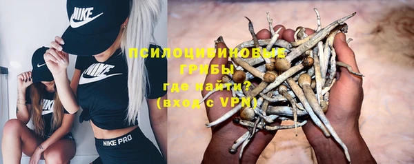 тгк Балахна
