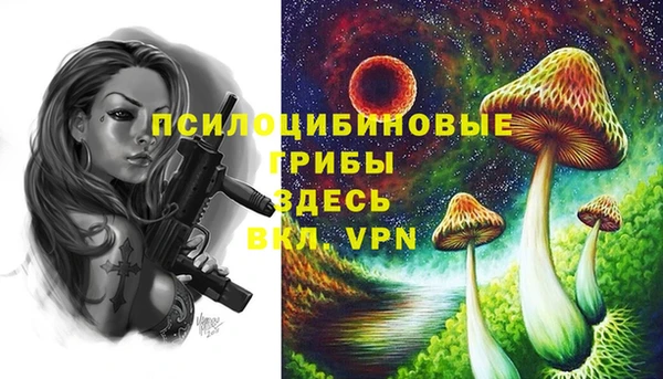ПСИЛОЦИБИНОВЫЕ ГРИБЫ Балабаново