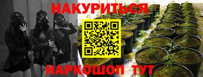 круглые Камышлов