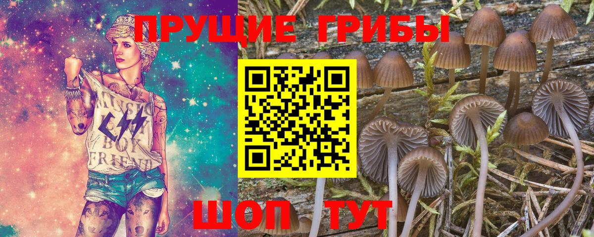 Галлюциногенные грибы GOLDEN TEACHER Ногинск