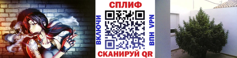 купить сайты МЕГА ONION Шишки марихуана AK-47 Ногинск
